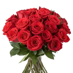 Imagen PNG para descargar